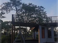 -宝安西湾红树林湿地公园