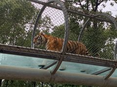 -宁波野生动物园