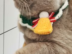 -猫友咖啡店(玉林西路店)