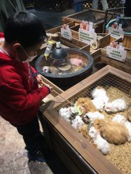 -酷嗒动物文化乐园(cutezoo西溪乐天城店)