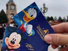 -上海迪士尼度假区