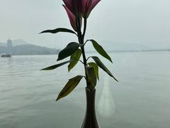 -柳莺湖上·湖景餐厅·江南菜(西湖店)