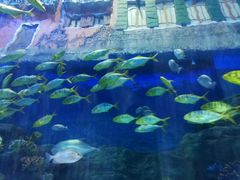 -华夏文旅海洋公园