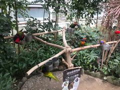 -南宫五洲植物乐园