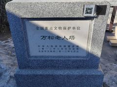 -万松老人塔