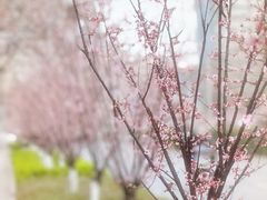 -西南政法大学(渝北校区)