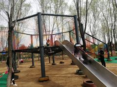 -草根堂农场