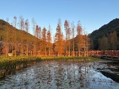 -广州市石门国家森林公园