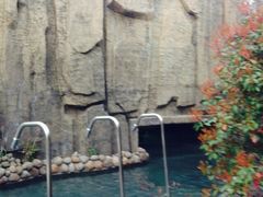 picture-南京汤山紫清湖生态旅游温泉度假区