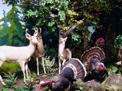 -陕西自然博物馆