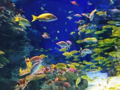 -海合安成都极地海洋公园
