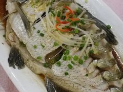 -田园小观园(武大店)
