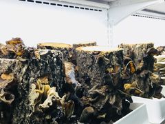 -番食园鲜食火锅(高新店)