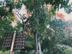 -云龙山
