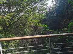 -西湖风景区-江洋畈生态公园