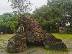 -海口火山口国家地质公园