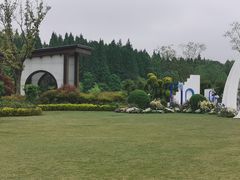 -东平国家森林公园
