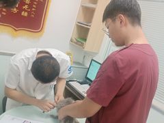 -宠福鑫康馨动物医院·骨科·眼科