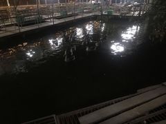 -水库河鲜村