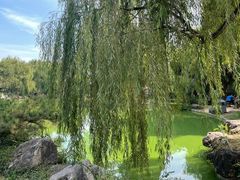 -青州古城