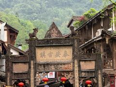 -龙翔山庄雷鸡肉(青城后山泰安古镇店)
