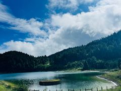 -武陵山森林公园
