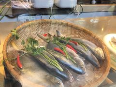 -陈鹏鹏潮汕菜(欢乐海岸 海边景观店)