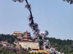 -颐和园