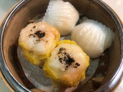 -糖朝(尖沙咀店)