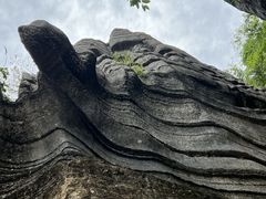 -梭布垭石林景区