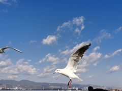 -滇池海埂公园