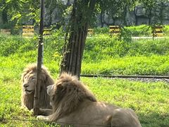 -秦皇岛野生动物园