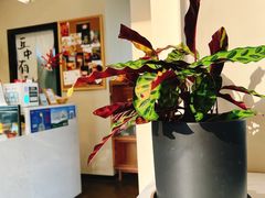-丘中有甜(乐清·江南里店)