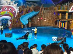 -烟台海昌鲸鲨海洋公园