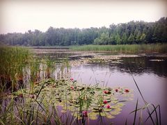 溱湖国家湿地公园-溱湖国家湿地公园