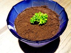 -蜜桃餐厅·江浙融合菜(荟聚购物中心店)