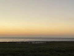 -春花秋色城市公园