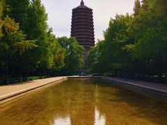 -玲珑塔公园