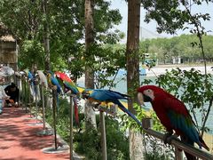 -水上乐园·欢乐世界