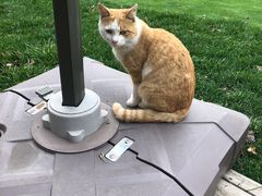 -TIPPI营地 房车主题·露营烧烤团建轰趴(天安假日店)