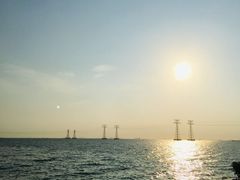 -宝安西湾红树林湿地公园