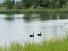 -白鹭湾湿地公园