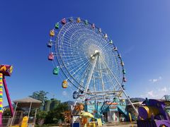 -飞来湖湿地公园