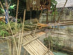 -新加坡水上探险乐园