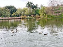 -海珠湖公园