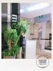 -意廊 Hair Salon