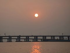 -宝安西湾红树林湿地公园