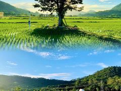 -艾米稻香小镇