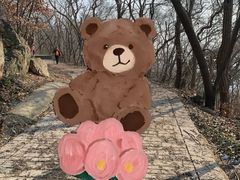-紫金山天文台