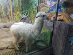 -苏州海洋馆
